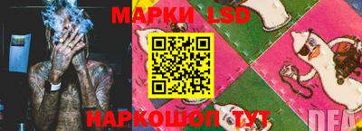 наркотики Сланцы