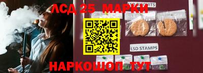 дмт Славгород