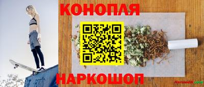 дмт Славгород