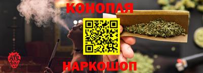 дмт Славгород