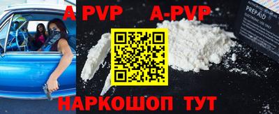 дмт Славгород