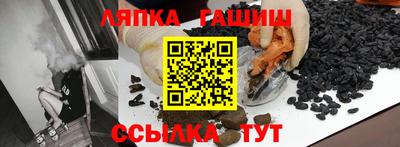 дмт Славгород
