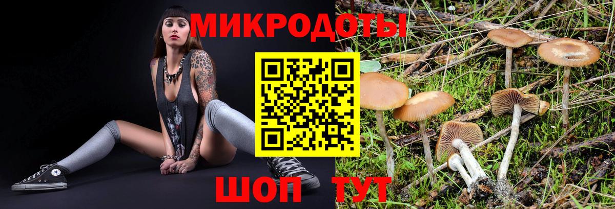 Псилоцибиновые грибы мицелий  Вход с VPN  Оренбург 